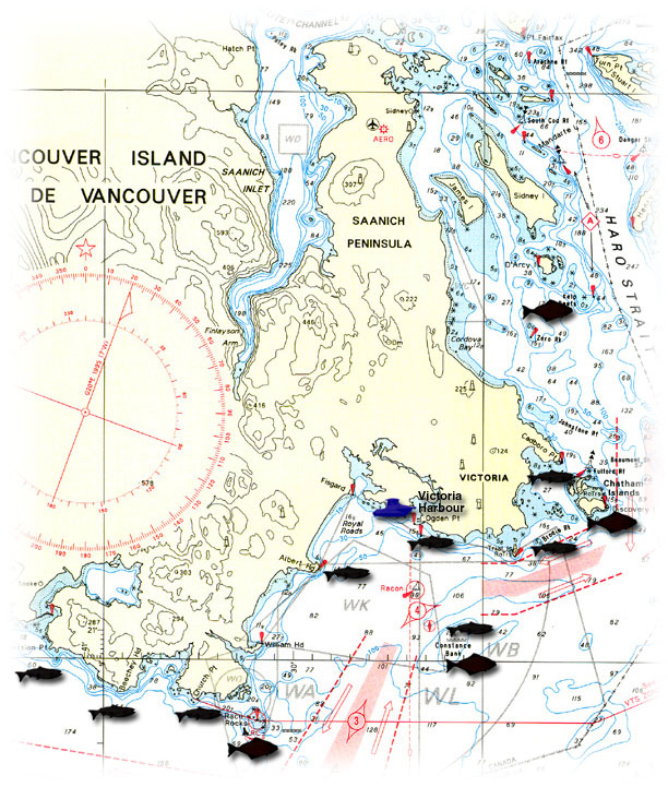 Where we Fish for Salmon and Halibut