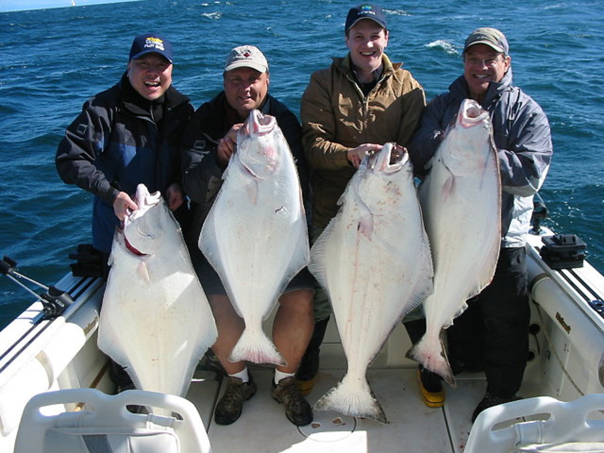 Foghorn Fishing Charters Specializing in Salmon and Halibut