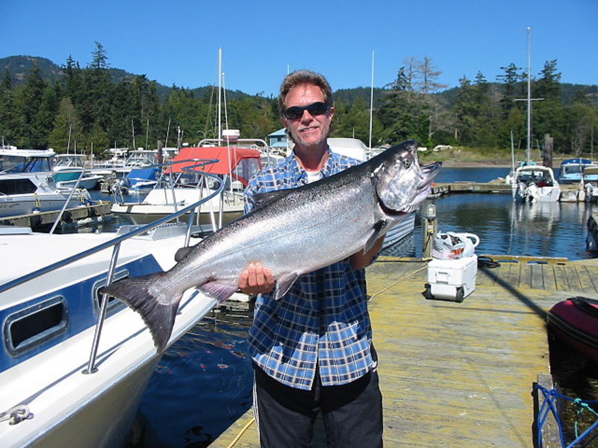 Foghorn Fishing Charters Specializing in Salmon and Halibut