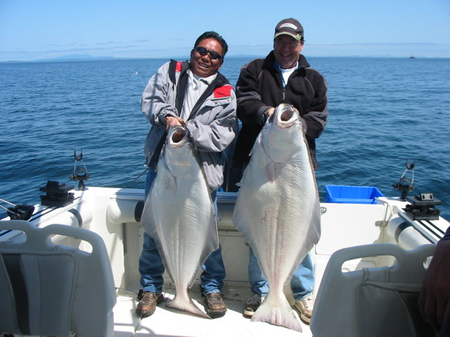 Victoria BC Halibut Fishing Adventure One of the most sought after game  fish on our coast.