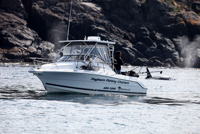 Foghorn Fishing Charters 25ft Wellcraft fishing boat